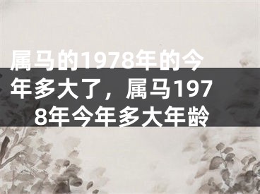 属马的1978年的今年多大了，属马1978年今年多大年龄