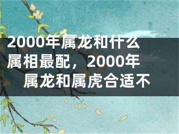 2000年属龙和什么属相最配，2000年属龙和属虎合适不