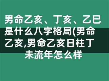 男命乙亥、丁亥、乙巳是什么八字格局(男命乙亥,男命乙亥日柱丁未流年怎么样