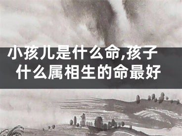 小孩儿是什么命,孩子什么属相生的命最好
