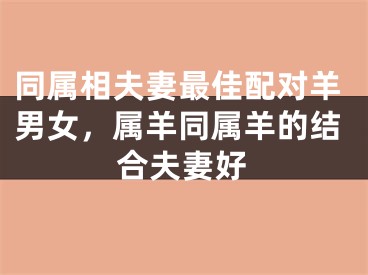 同属相夫妻最佳配对羊男女,属羊同属羊的结合夫妻好