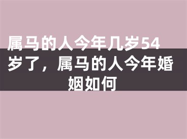 属马的人今年几岁54岁了，属马的人今年婚姻如何