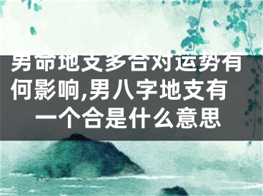 男命地支多合对运势有何影响,男八字地支有一个合是什么意思