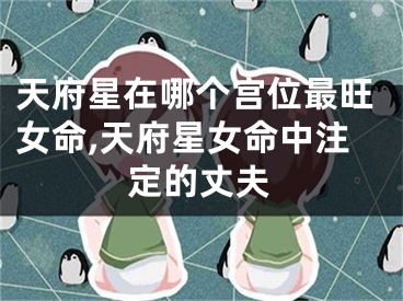 天府星在哪个宫位最旺女命,天府星女命中注定的丈夫