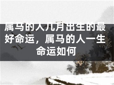 属马的人几月出生的最好命运,属马的人一生命运如何