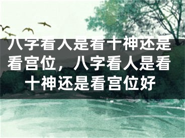 八字看人是看十神还是看宫位，八字看人是看十神还是看宫位好
