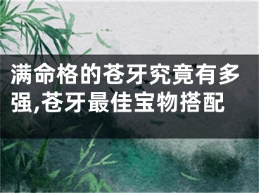 满命格的苍牙究竟有多强,苍牙最佳宝物搭配