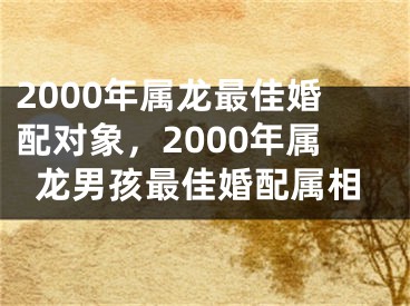 2000年属龙最佳婚配对象,2000年属龙男孩最佳婚配属相