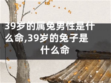 39岁的属兔男性是什么命,39岁的兔子是什么命