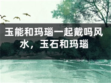 玉能和玛瑙一起戴吗风水，玉石和玛瑙