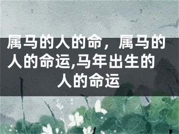 属马的人的命,属马的人的命运,马年出生的人的命运