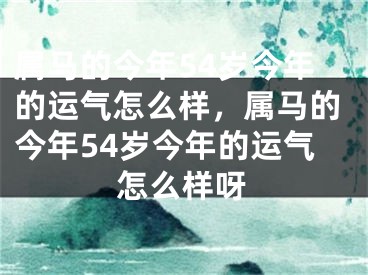 属马的今年54岁今年的运气怎么样，属马的今年54岁今年的运气怎么样呀