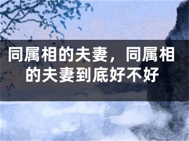 同属相的夫妻,同属相的夫妻到底好不好