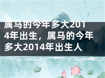 属马的今年多大2014年出生，属马的今年多大2014年出生人