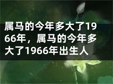 属马的今年多大了1966年,属马的今年多大了1966年出生人
