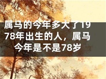 属马的今年多大了1978年出生的人，属马今年是不是78岁