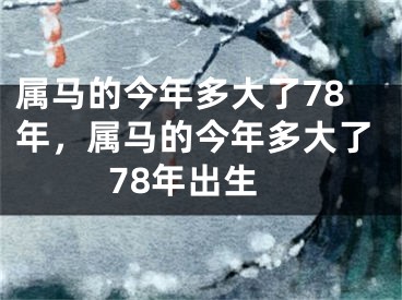 属马的今年多大了78年,属马的今年多大了78年出生