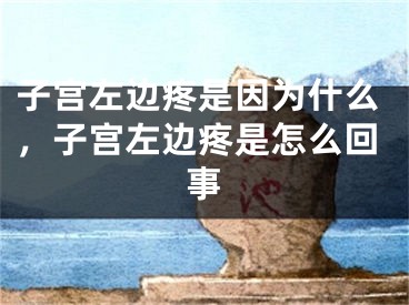 子宫左边疼是因为什么,子宫左边疼是怎么回事