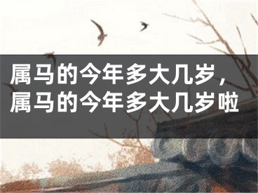 属马的今年多大几岁，属马的今年多大几岁啦