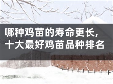 哪种鸡苗的寿命更长,十大最好鸡苗品种排名