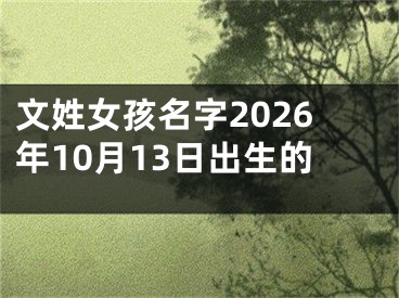 文姓女孩名字2026年10月13日出生的