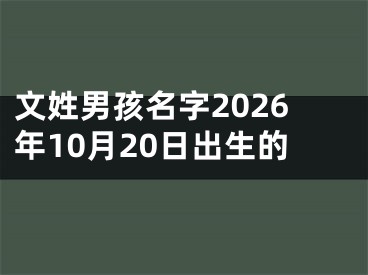 文姓男孩名字2026年10月20日出生的