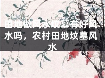田地做风水坟墓有好风水吗,农村田地坟墓风水