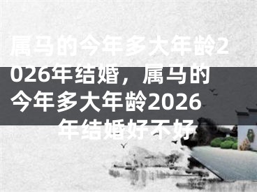 属马的今年多大年龄2026年结婚,属马的今年多大年龄2026年结婚好不好