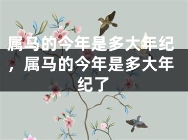 属马的今年是多大年纪,属马的今年是多大年纪了