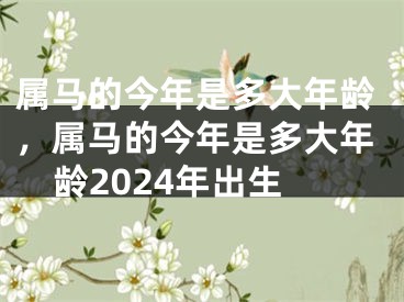 属马的今年是多大年龄,属马的今年是多大年龄2024年出生