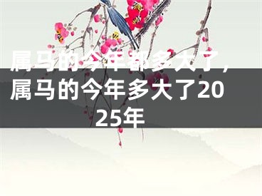 属马的今年都多大了,属马的今年多大了2025年
