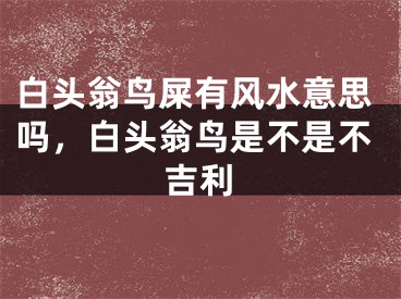 白头翁鸟屎有风水意思吗,白头翁鸟是不是不吉利