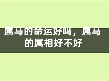 属马的命运好吗,属马的属相好不好