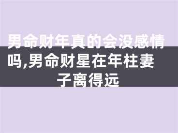 男命财年真的会没感情吗,男命财星在年柱妻子离得远