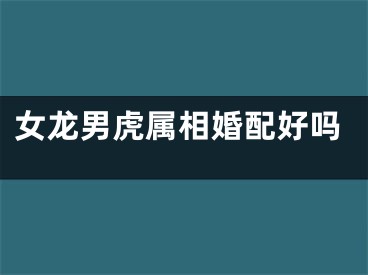 女龙男虎属相婚配好吗
