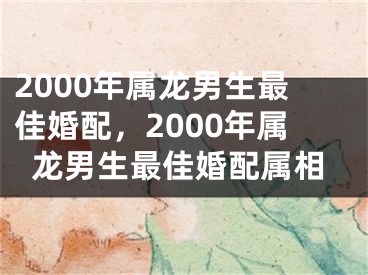 2000年属龙男生最佳婚配，2000年属龙男生最佳婚配属相