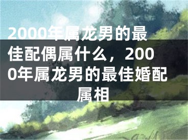 2000年属龙男的最佳配偶属什么，2000年属龙男的最佳婚配属相