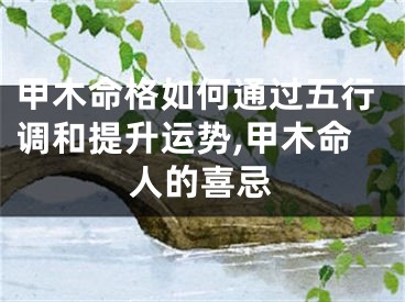 甲木命格如何通过五行调和提升运势,甲木命人的喜忌