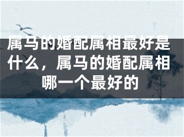 属马的婚配属相最好是什么,属马的婚配属相哪一个最好的