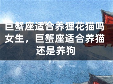 巨蟹座适合养狸花猫吗女生，巨蟹座适合养猫还是养狗