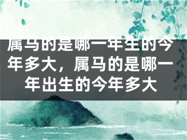 属马的是哪一年生的今年多大，属马的是哪一年出生的今年多大