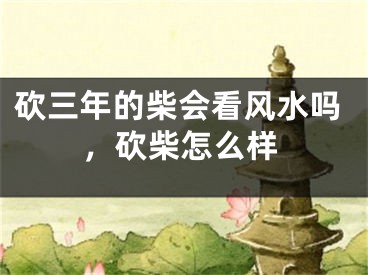 砍三年的柴会看风水吗，砍柴怎么样