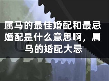 属马的最佳婚配和最忌婚配是什么意思啊，属马的婚配大忌