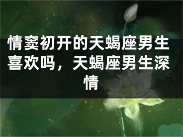 情窦初开的天蝎座男生喜欢吗，天蝎座男生深情