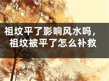 祖坟平了影响风水吗，祖坟被平了怎么补救