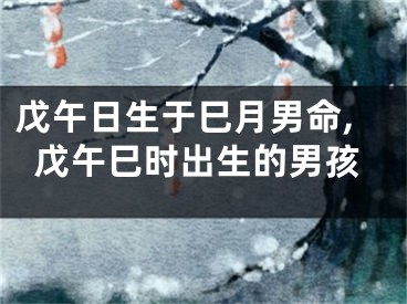戊午日生于巳月男命,戊午巳时出生的男孩