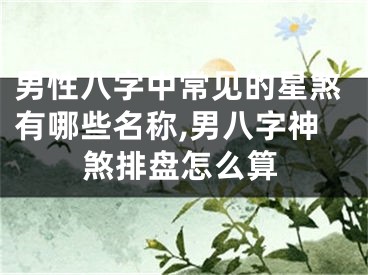 男性八字中常见的星煞有哪些名称,男八字神煞排盘怎么算