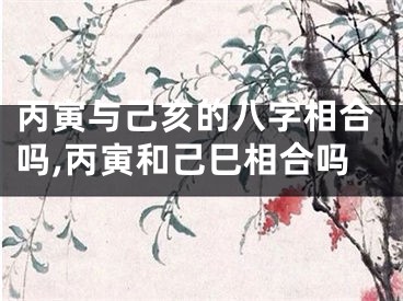 丙寅与己亥的八字相合吗,丙寅和己巳相合吗