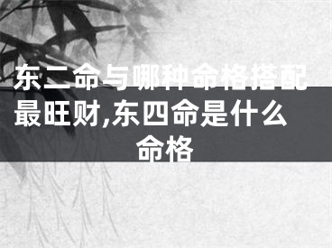 东二命与哪种命格搭配最旺财,东四命是什么命格