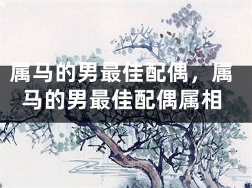 属马的男最佳配偶,属马的男最佳配偶属相